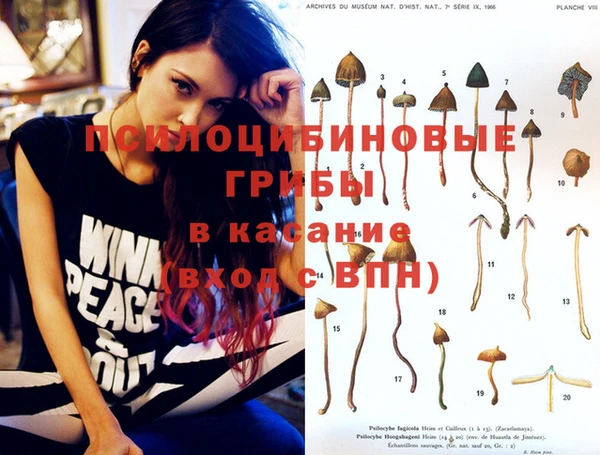 синтетический гашиш Алексин