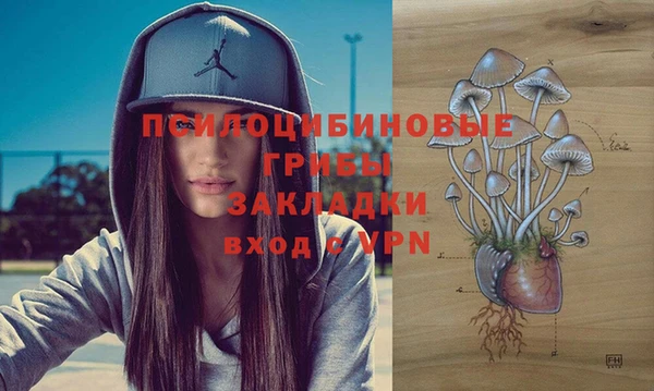 МДПВ Алзамай