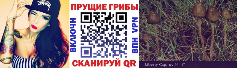 Галлюциногенные грибы прущие грибы  ОМГ ОМГ ССЫЛКА  Находка 