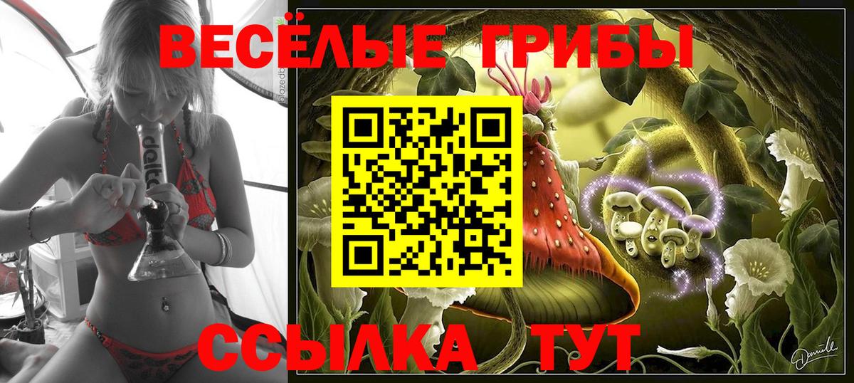 Псилоцибиновые грибы MAGIC MUSHROOMS Находка