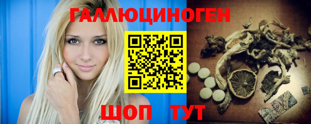 где продают наркотики  Вход с VPN  Находка  Галлюциногенные грибы Psilocybe 