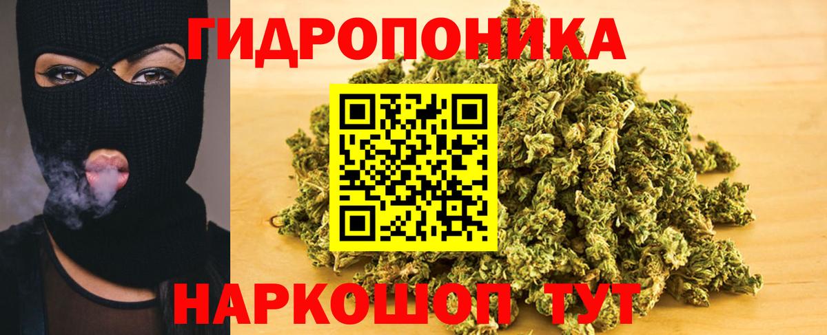 Находка  Бошки марихуана планчик  Вход с VPN  Марихуана гибрид 